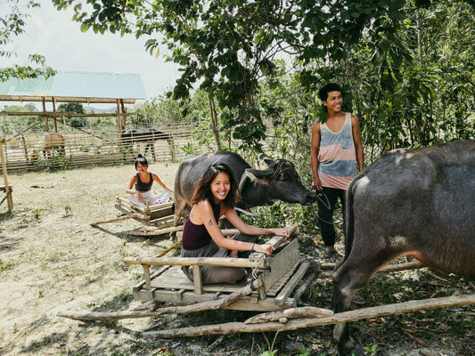 Carabao Ride Experience