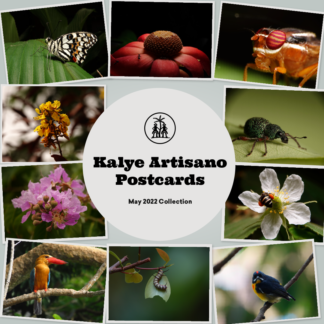Kalye Artisano Postcards - May 2022