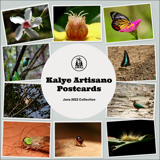 Kalye Artisano Postcards | June 2022